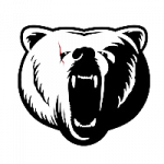 Ours de Toulouse